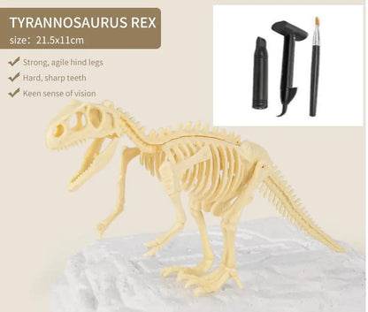 Dinosaur Fossils Archaeological Excavation Toy Kia Day Design