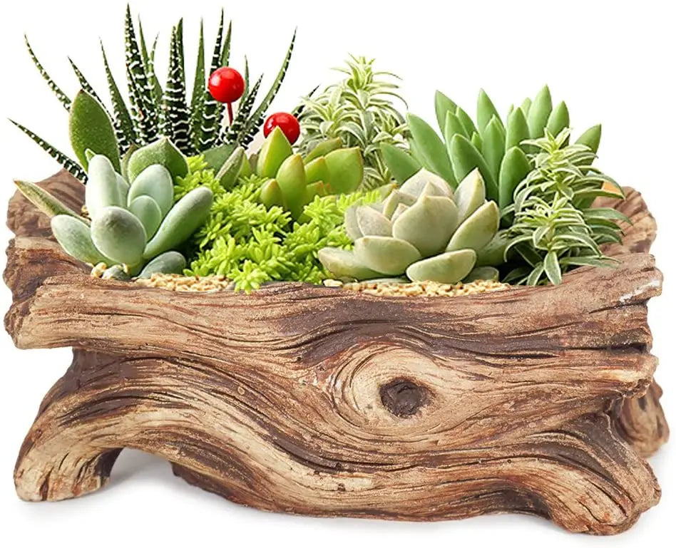 Driftwood Planter Wood Vintage Plant Container Cement Flower Pot