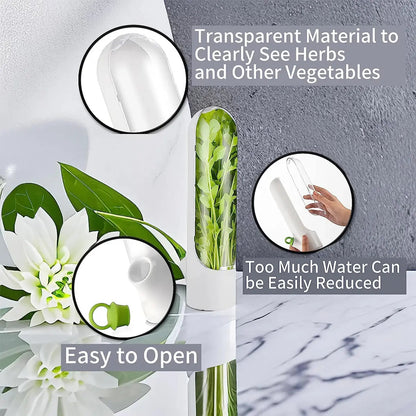 Herb Saver: Freshness Container For Kitchen Kia Day Design
