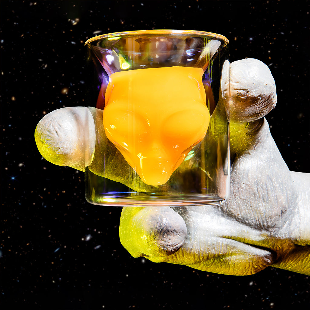 Area 51 Alien Glasses - - Drinking Glasses