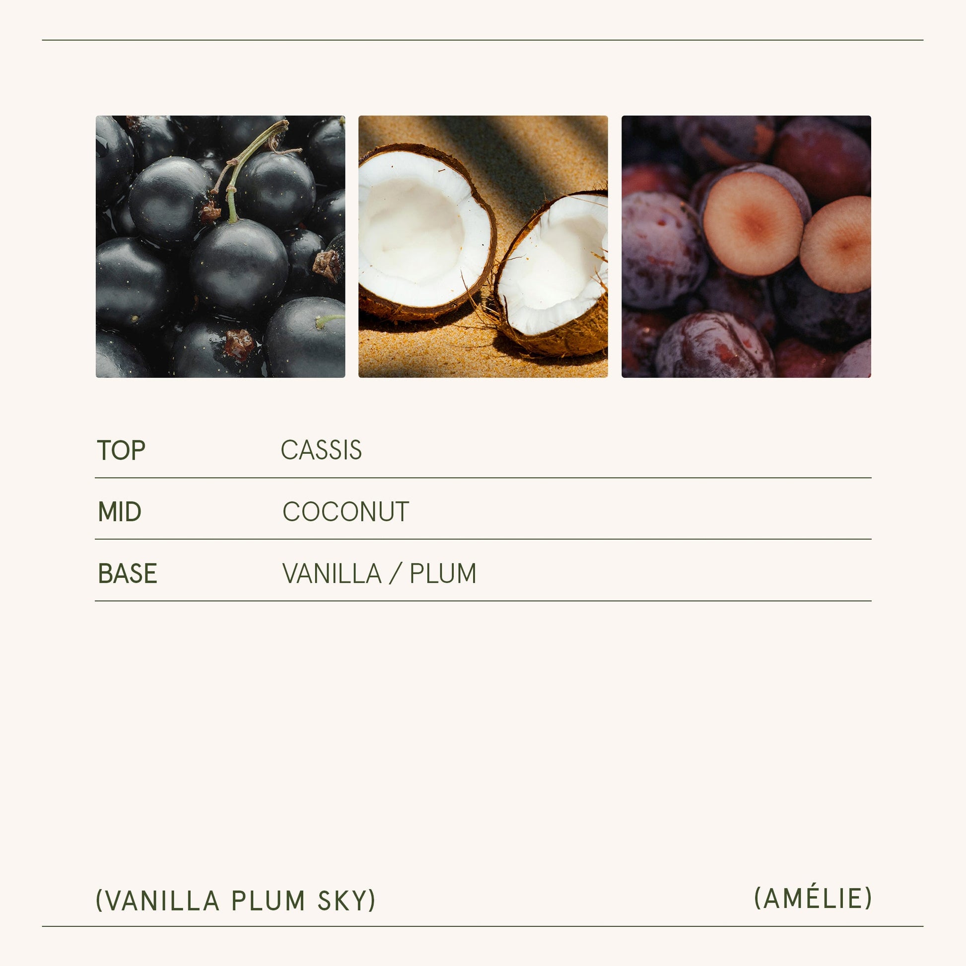 Amelie – Vanilla Plum Sky 3oz Candle - - candle