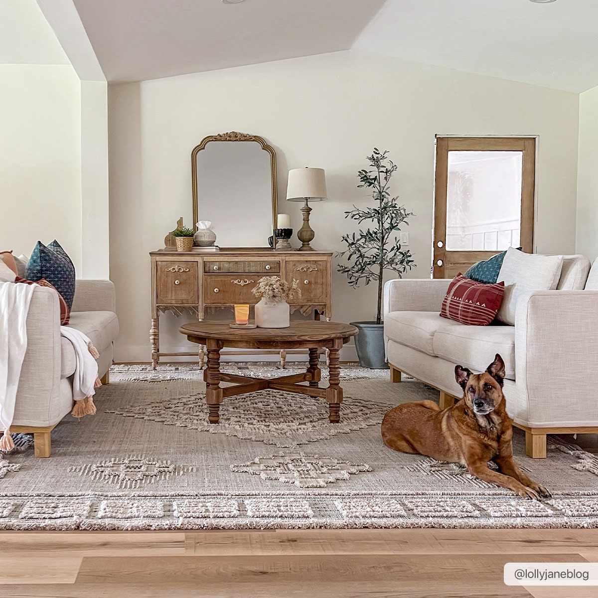 Ampusungan Area Rug - - Rugs