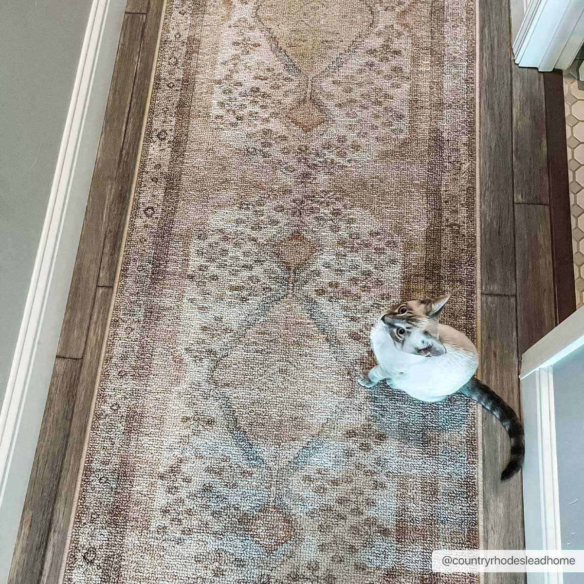 Analu Peach Washable Area Rug - - Rugs