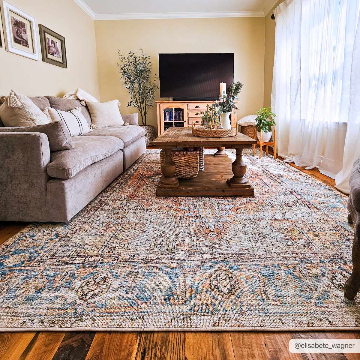 Beck Peach Washable Area Rug - - Rugs