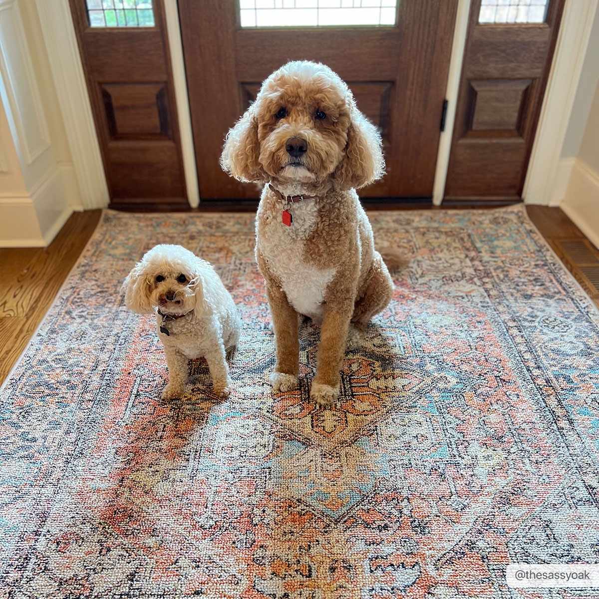 Beck Peach Washable Area Rug - - Rugs