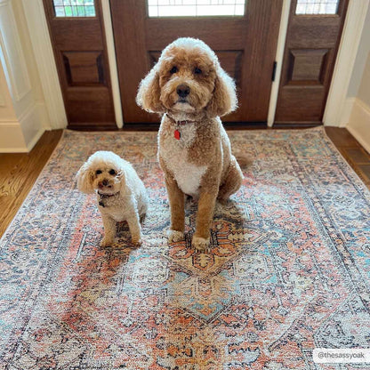 Beck Peach Washable Area Rug - - Rugs