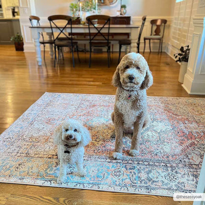 Beck Peach Washable Area Rug - - Rugs