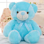 Plush Toy Glowing Bear Kia Day Design