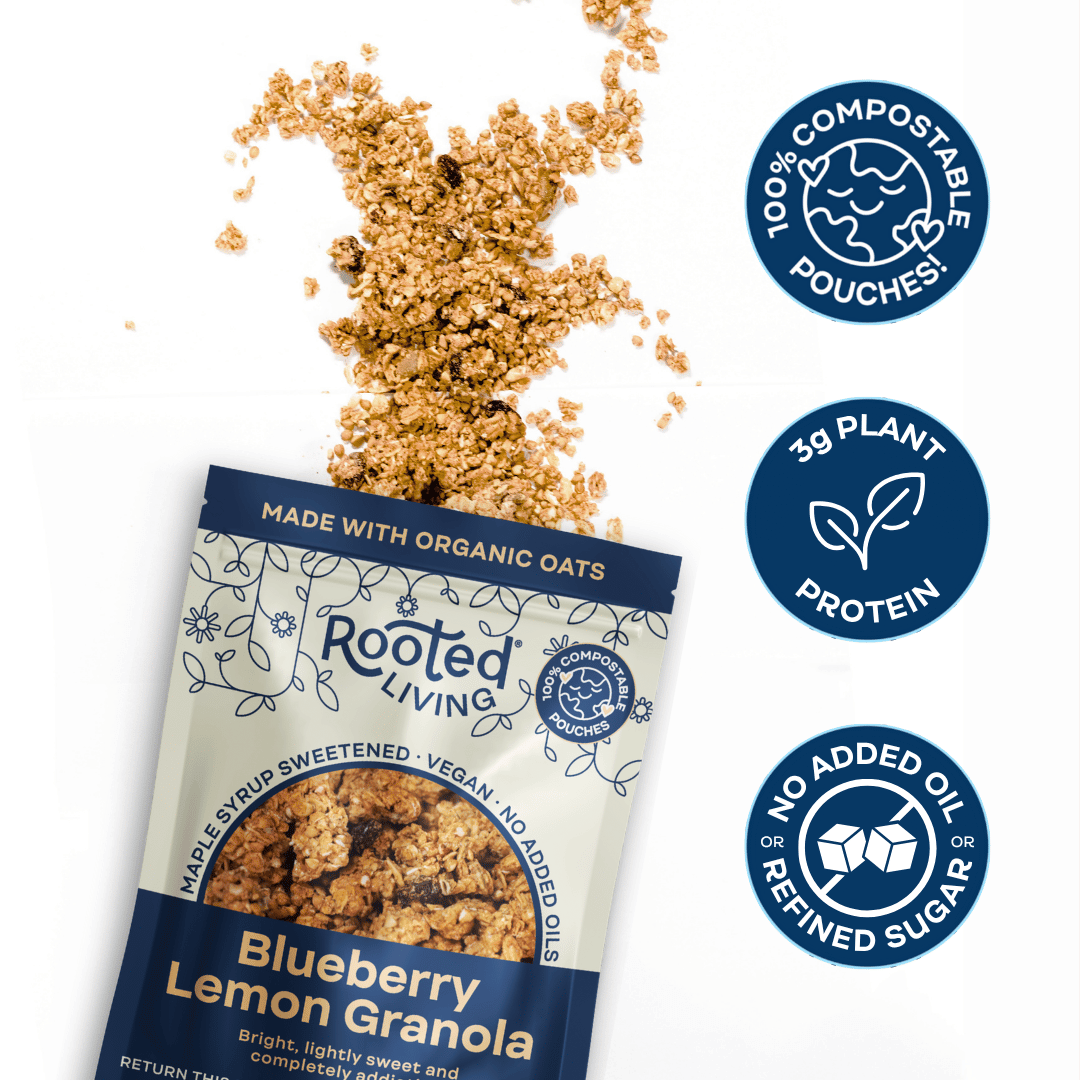 Blueberry Lemon Granola - - Granola