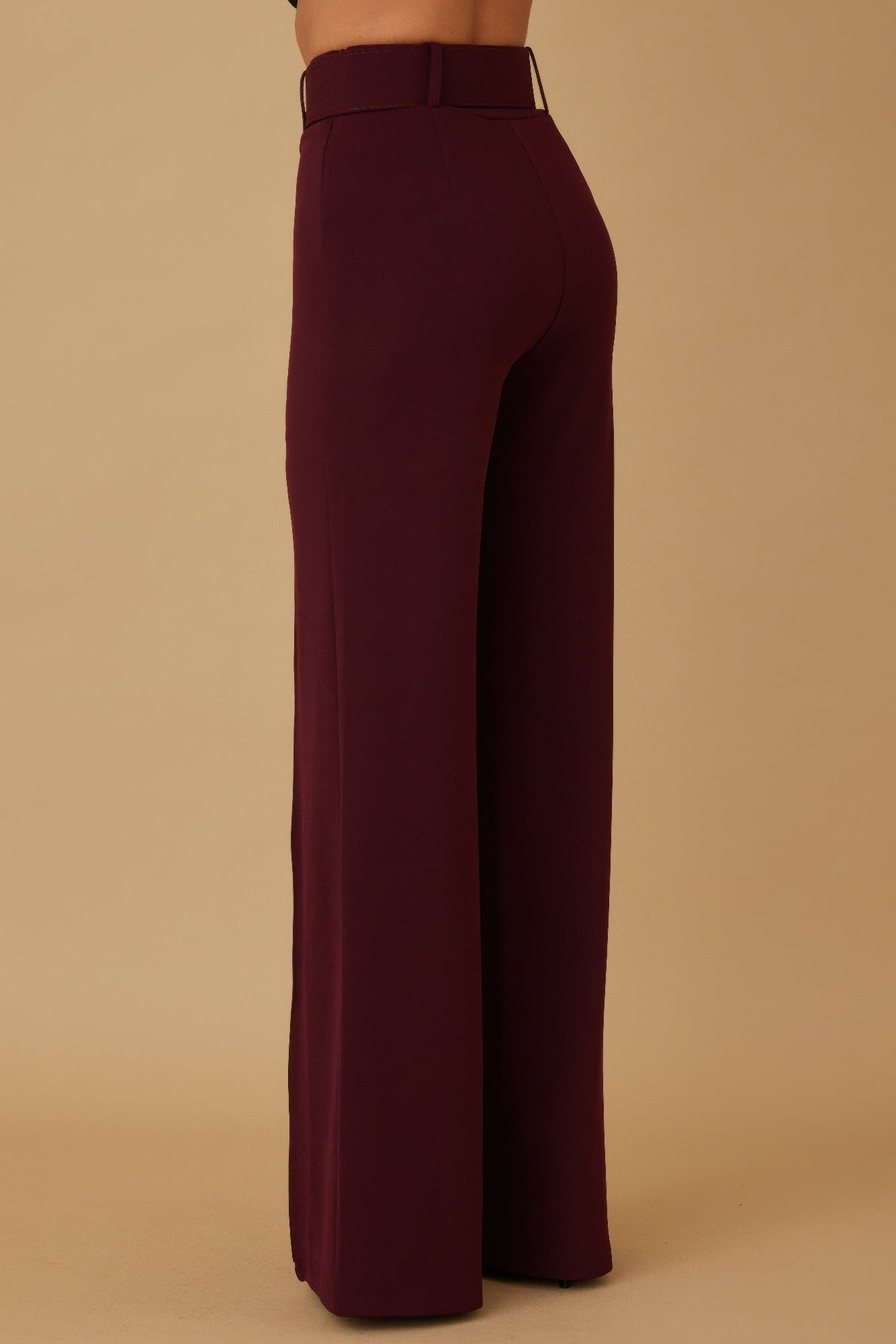 High Waist Pants With Buckle Belt - -