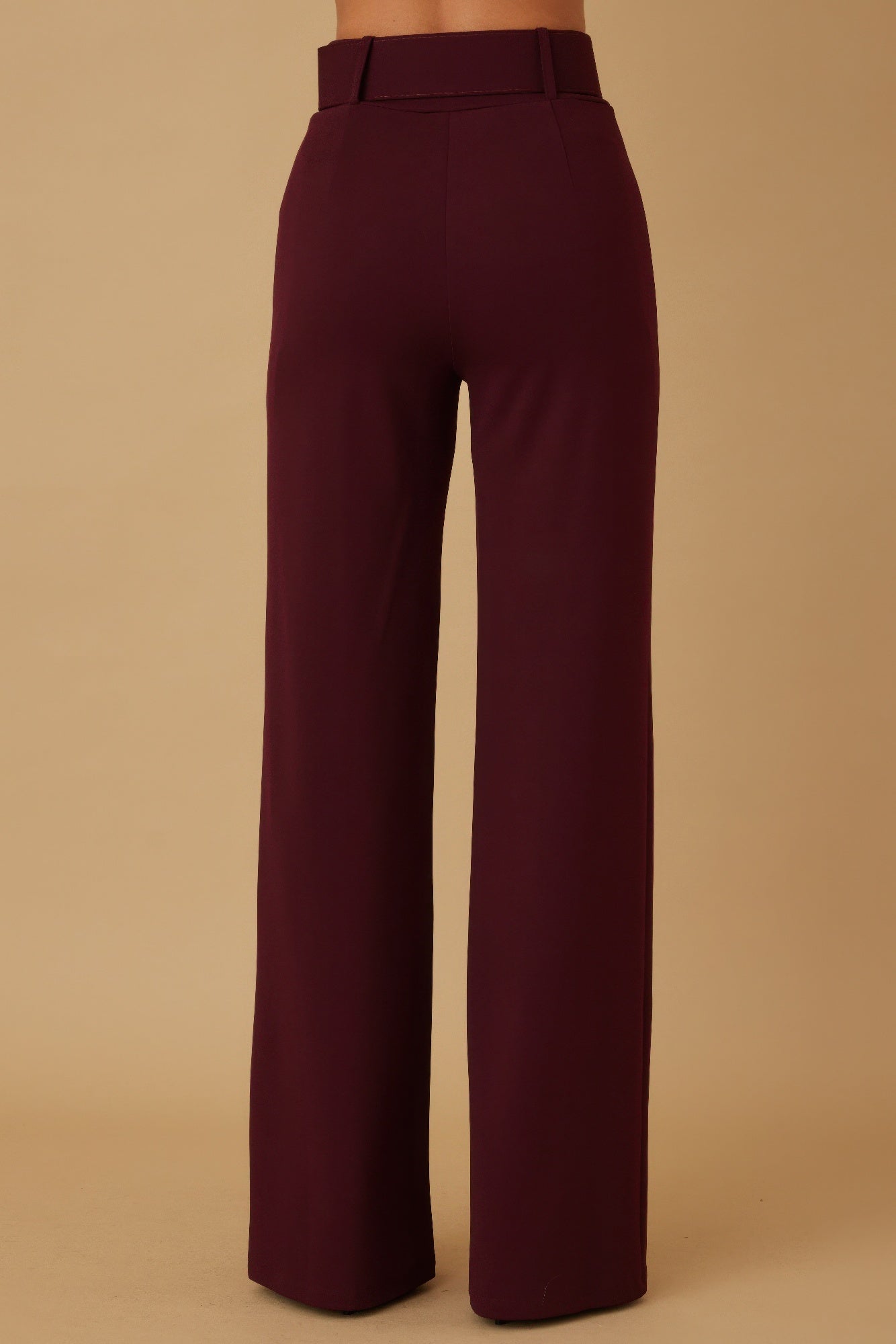 High Waist Pants With Buckle Belt - -