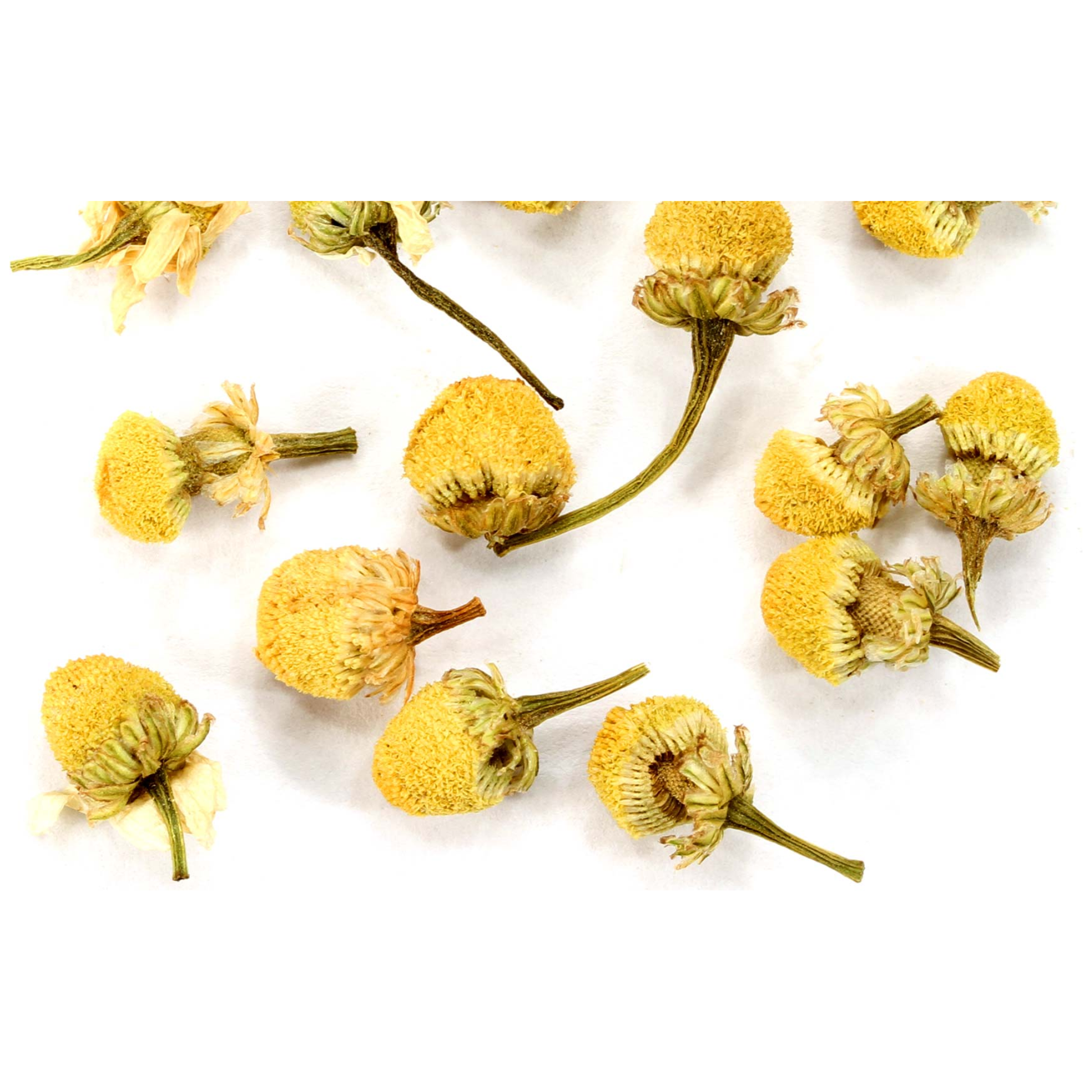Chamomile - -