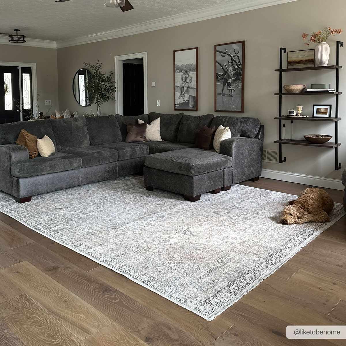 Cream Holi-2301 Washable Area Rug - - Rugs