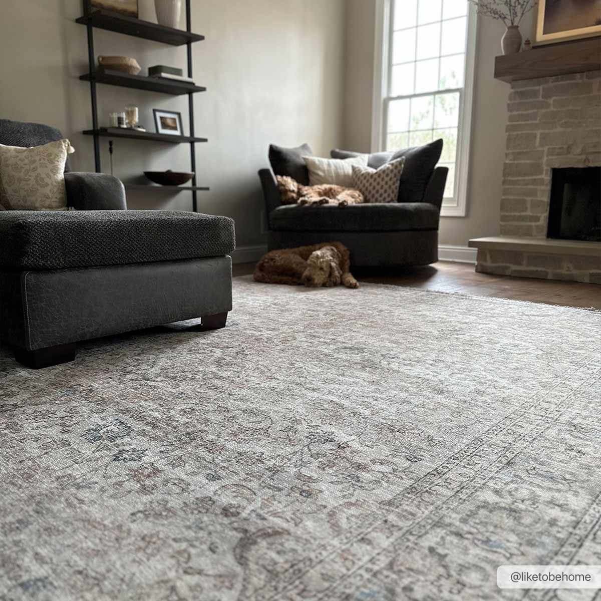Cream Holi-2301 Washable Area Rug - - Rugs