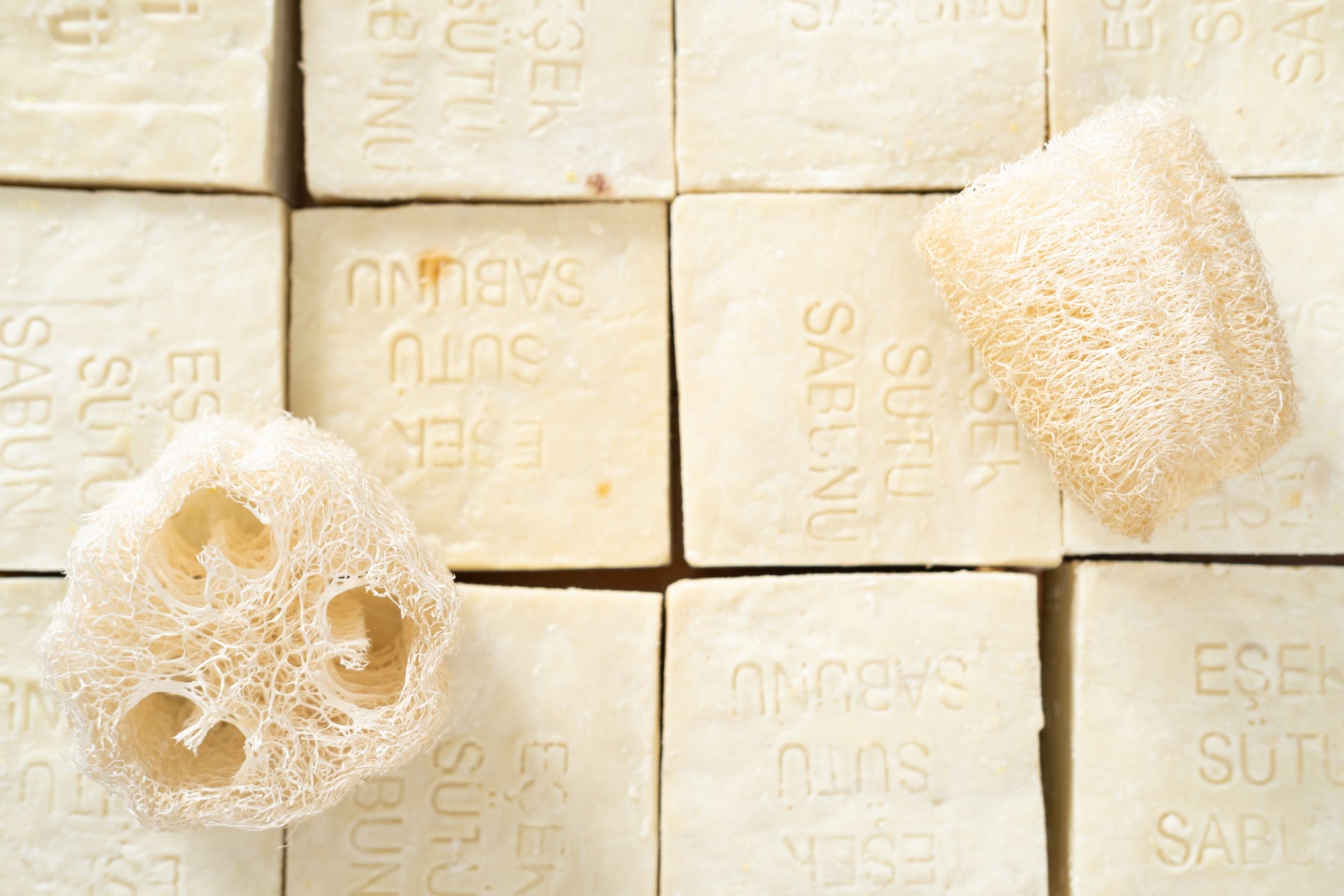 Donkey Milk Soap Bar - - Soap Bars