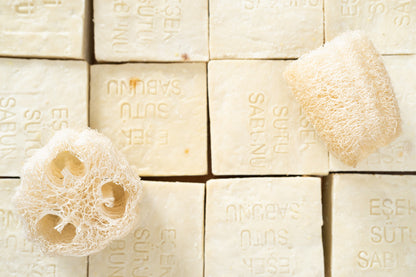 Donkey Milk Soap Bar - - Soap Bars