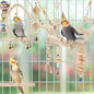 Bird Swing Toys