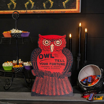 Retro Vintage Owl Fortune Halloween Dummy Board - - Fall & Halloween