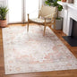 5 ft. x 8 ft. Traditional Persian Style Washable Boho Light Grey Red Area Rug - - Accents > Rugs