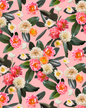 Flower Party Wallpaper, pink- Samantha Santana Creative- {{Product type}}