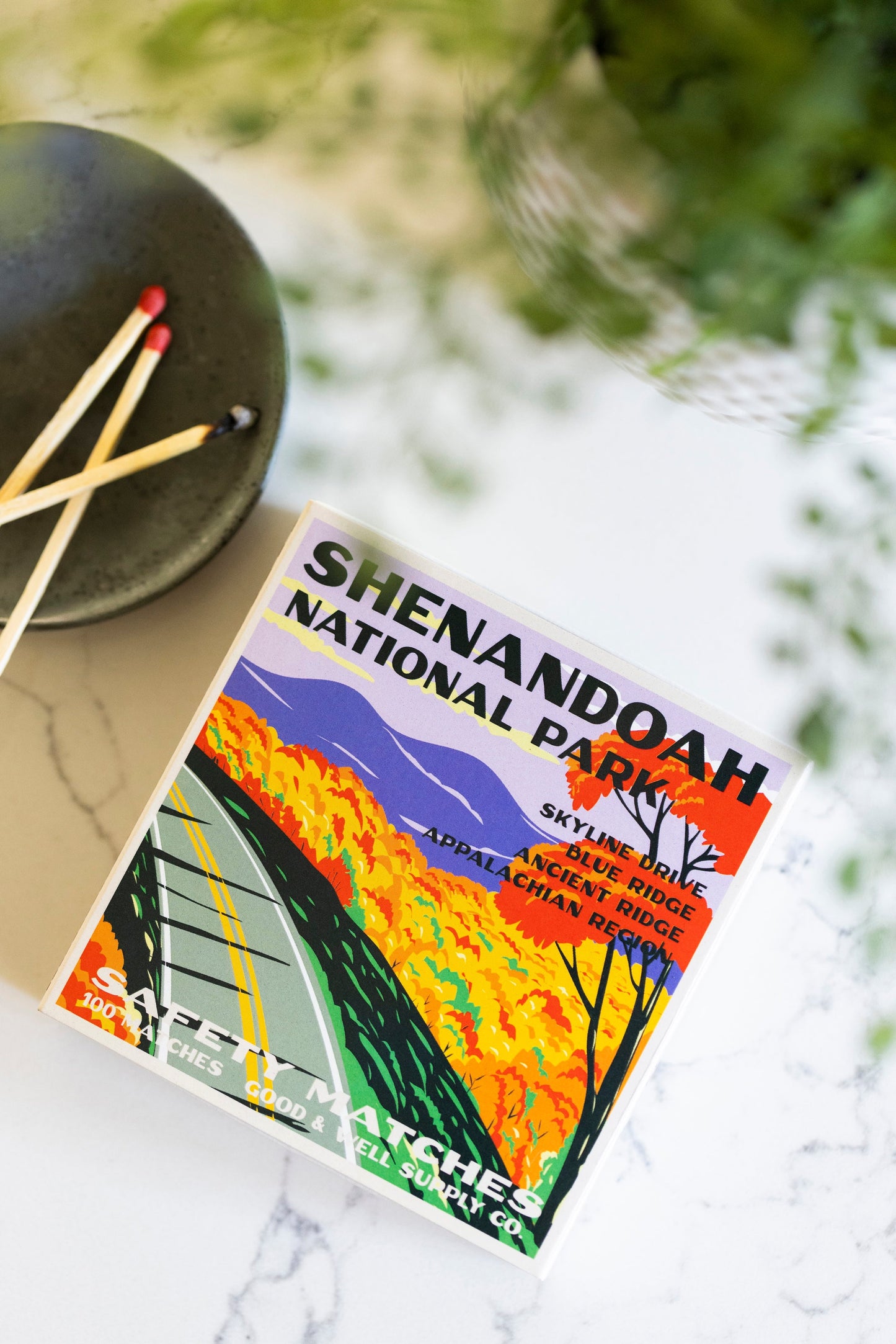 Shenandoah Vintage National Park Cabin Matches - -