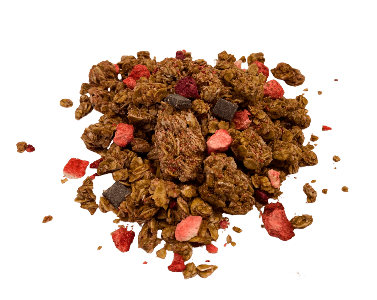 Granola, Dark Chocolate & Red Berries, Nature's Path - 15 lb - Cereals & Granolas
