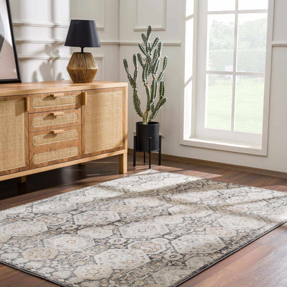 Minoa Area Rug - - Rugs
