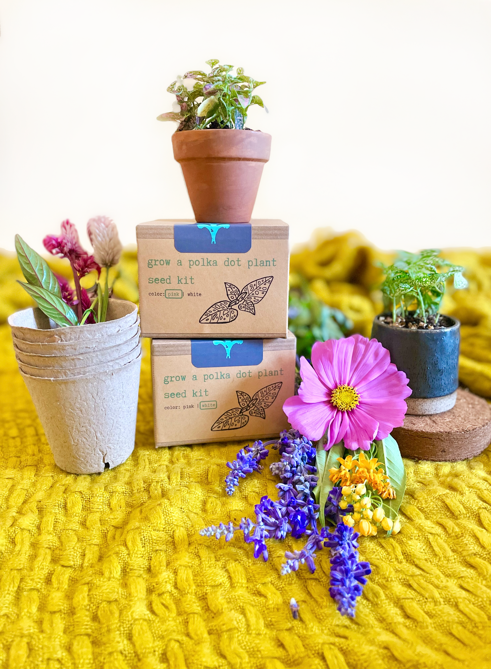 Build Your Own Custom Growing Gift Box with Garden Kit, Plant Kit, Organic Tea & Meditation Card of Your Choice - - Gift Box