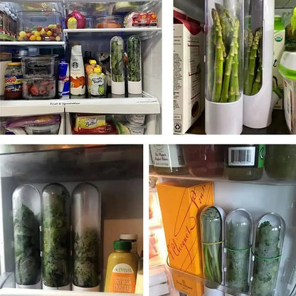 Herb Saver: Freshness Container For Kitchen Kia Day Design