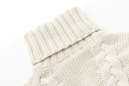 Solid Color Chunky Knit Turtleneck Sweater for Women
