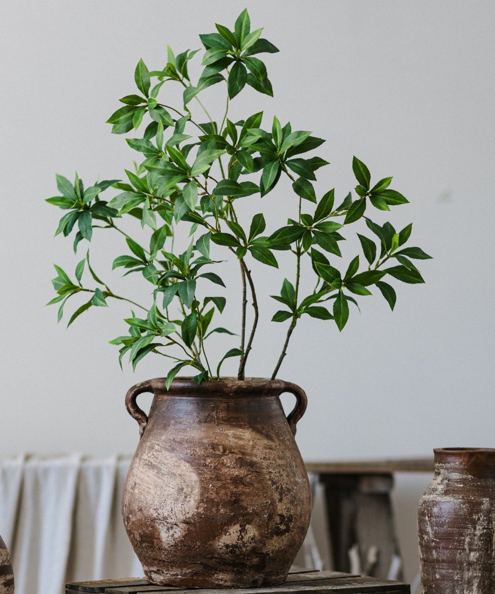 Restoration Brown Clay Pot - -
