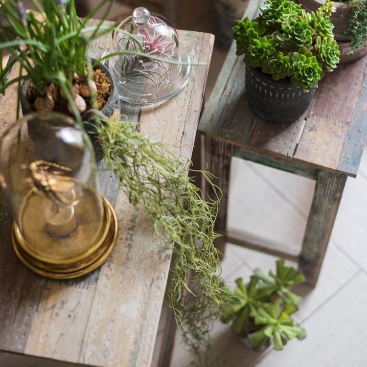 Colorful Solidwood Plant Stand Side Table - -