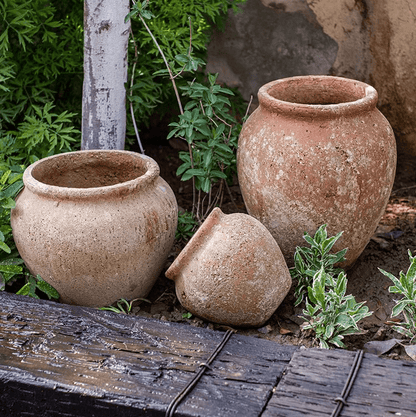 Distressed Cement Plant Pot - -