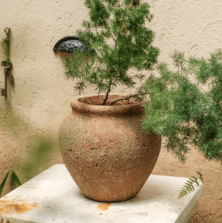 Distressed Cement Plant Pot - -