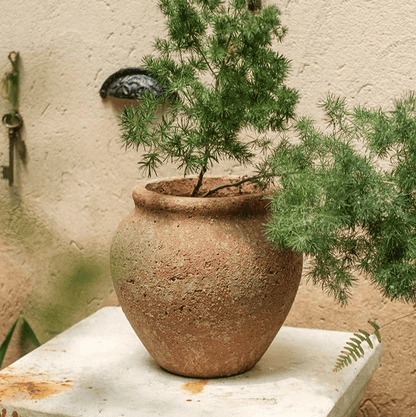 Distressed Cement Plant Pot - -