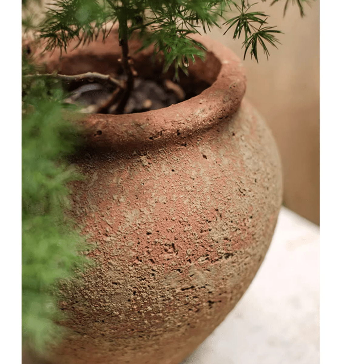 Distressed Cement Plant Pot - -