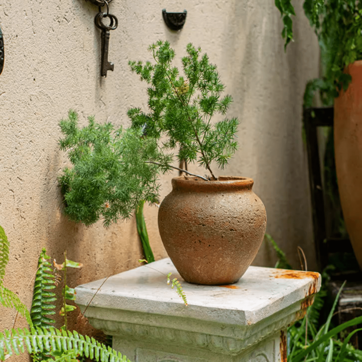 Distressed Cement Plant Pot - -