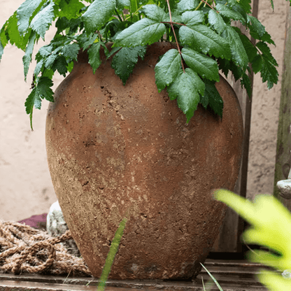 Distressed Cement Plant Pot - -