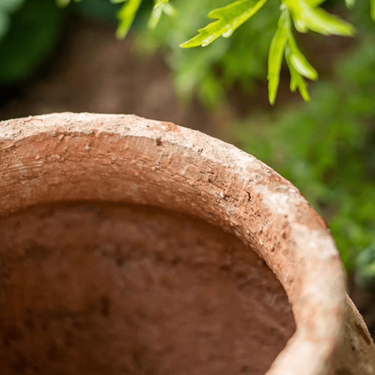 Distressed Cement Plant Pot - -