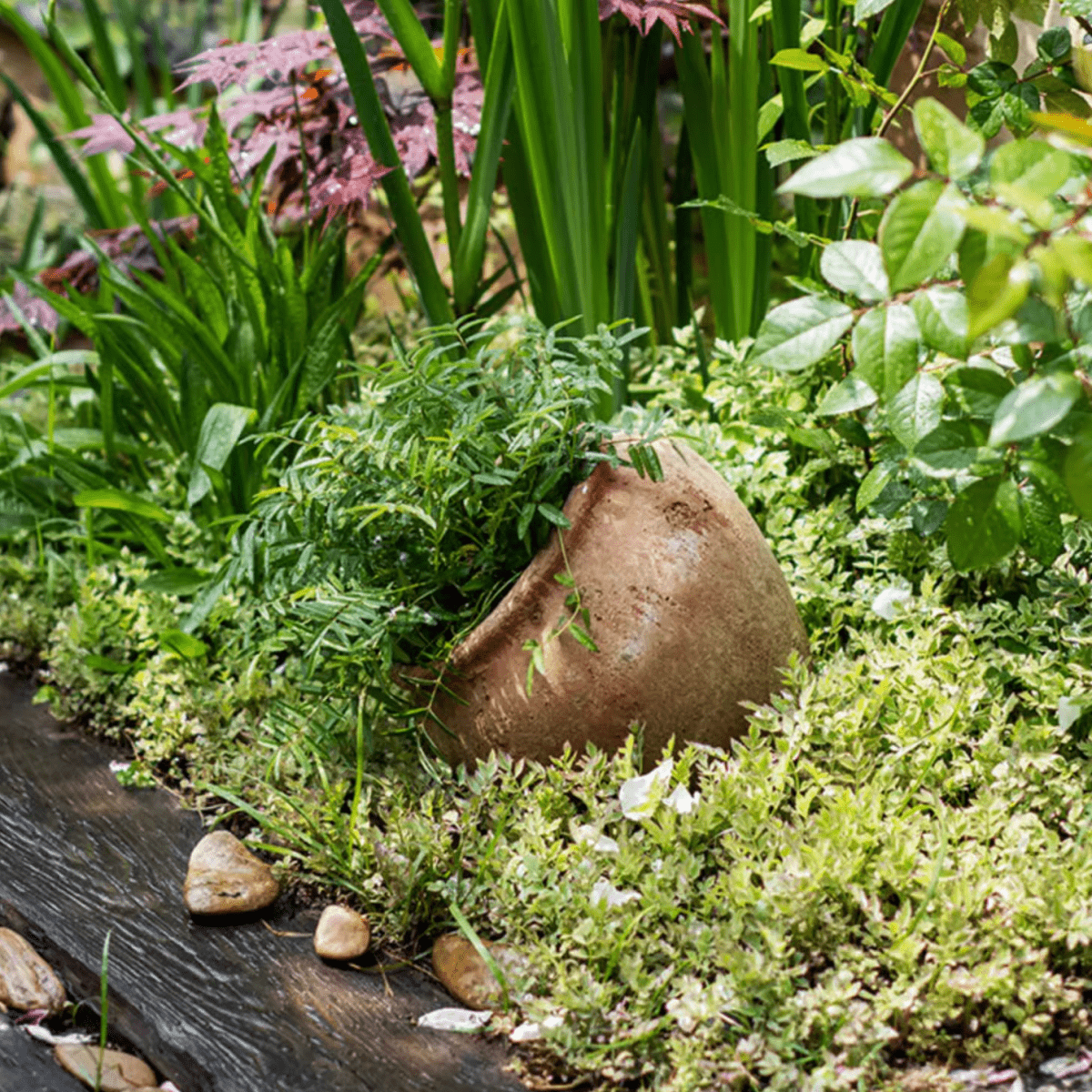 Distressed Cement Plant Pot - -