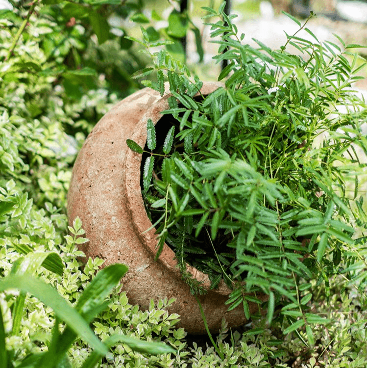 Distressed Cement Plant Pot - -