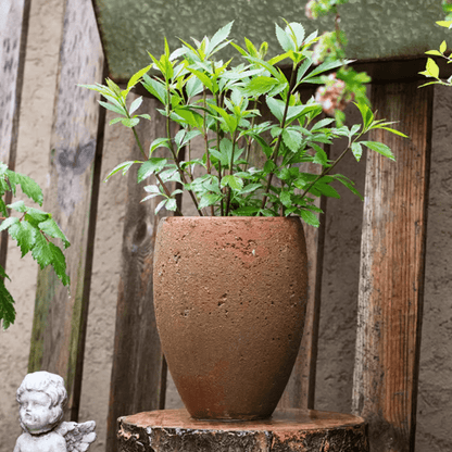 Distressed Cement Plant Pot Tall - -