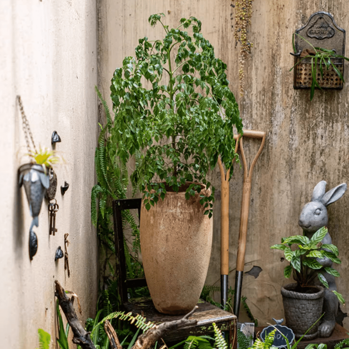 Distressed Cement Plant Pot Tall - -
