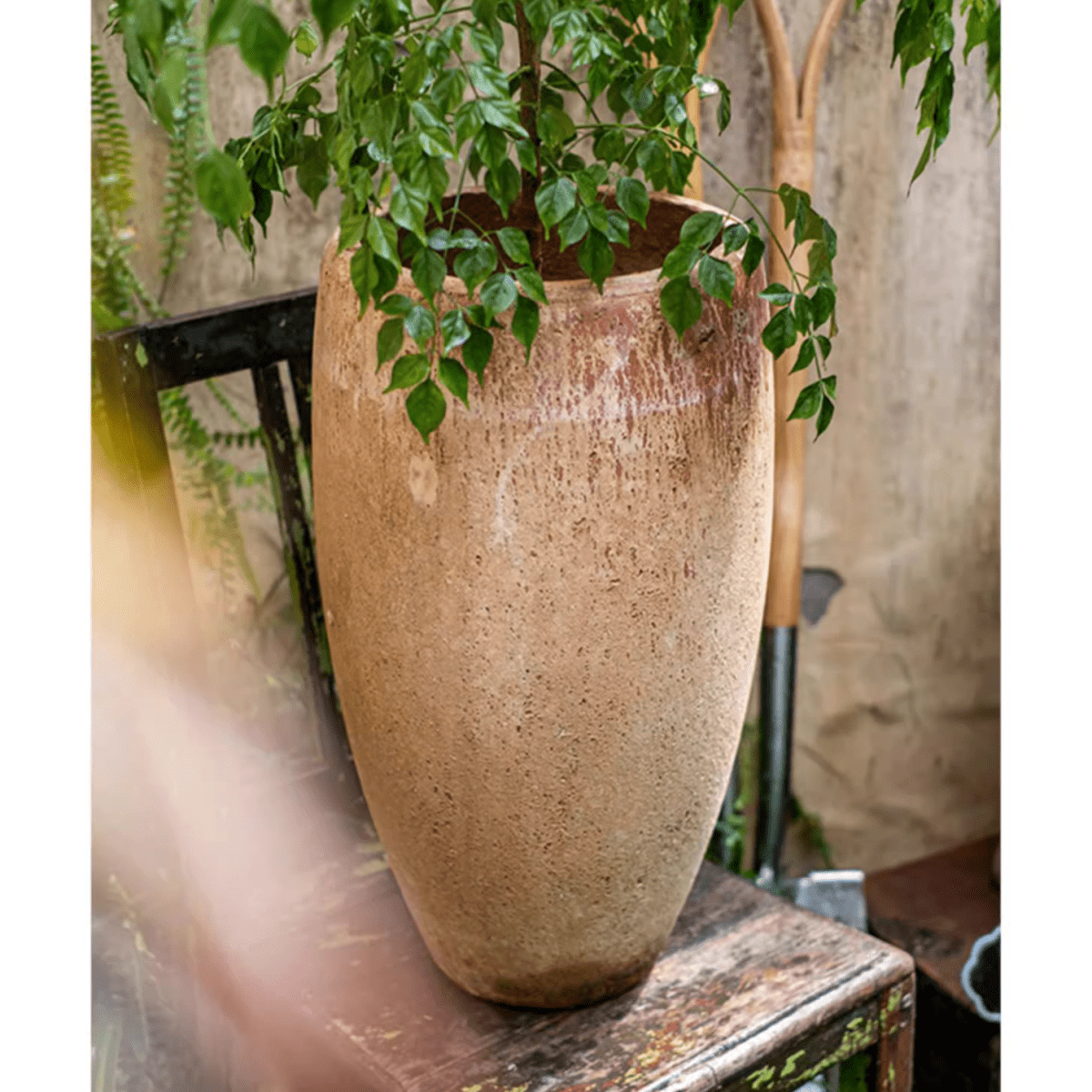 Distressed Cement Plant Pot Tall - -