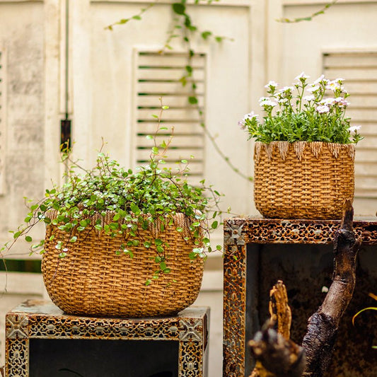 Lady Straw Basket Cement Planter - - Planter
