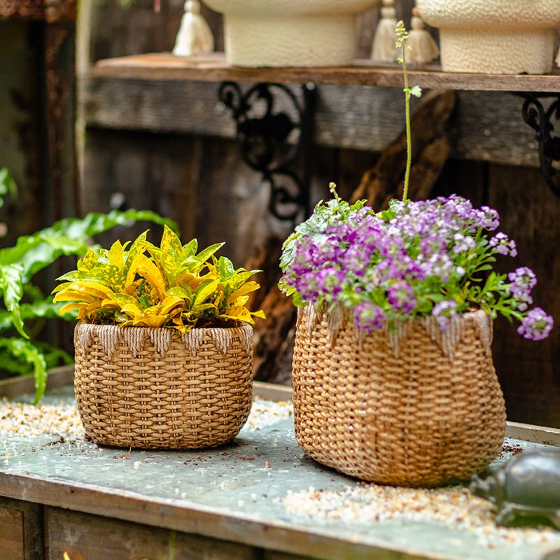 Lady Straw Basket Cement Planter - -