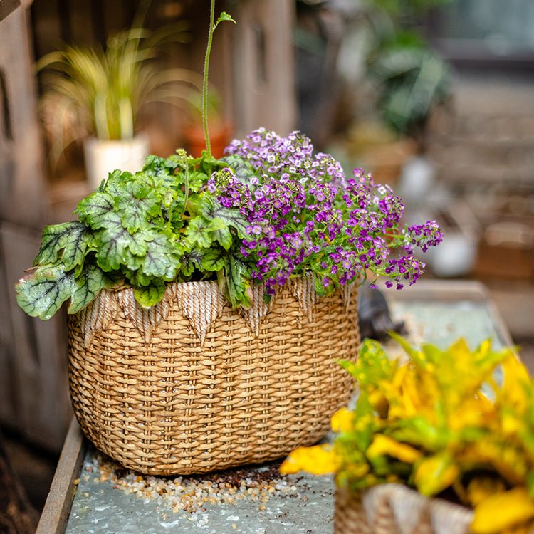 Lady Straw Basket Cement Planter - -