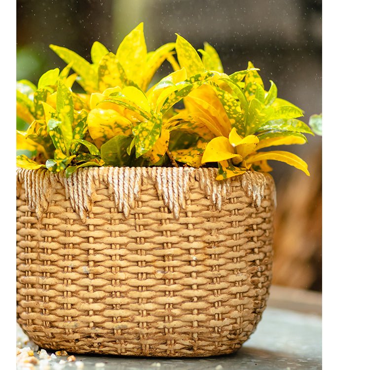 Lady Straw Basket Cement Planter - -