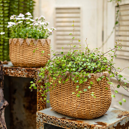 Lady Straw Basket Cement Planter - -