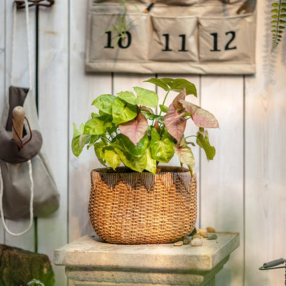 Lady Straw Basket Cement Planter - -